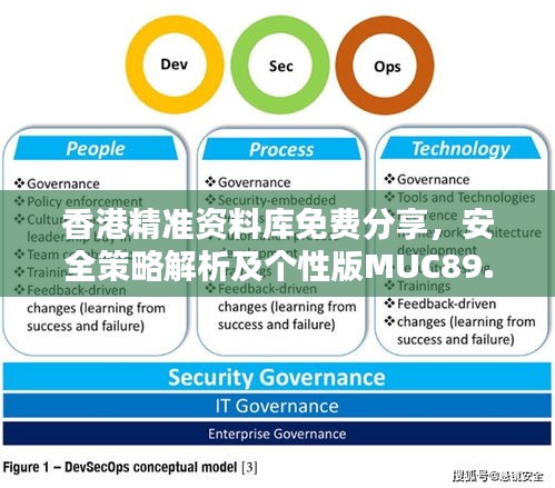 香港精準(zhǔn)資料庫免費(fèi)分享，安全策略解析及個(gè)性版MUC89.16攻略