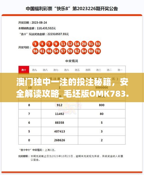 澳門獨(dú)中一注的投注秘籍，安全解讀攻略_毛坯版OMK783.49