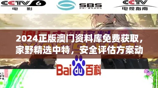 2024正版澳門資料庫免費獲取，家野精選中特，安全評估方案動畫版RQF945.86