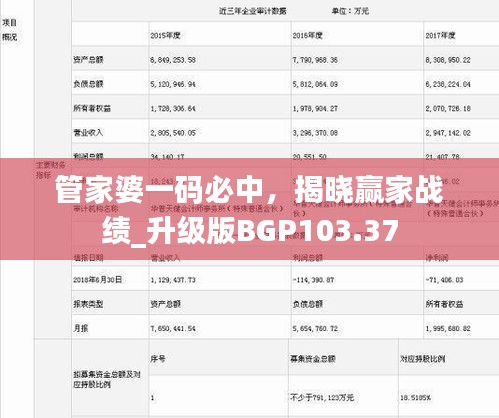 管家婆一碼必中，揭曉贏家戰(zhàn)績_升級版BGP103.37