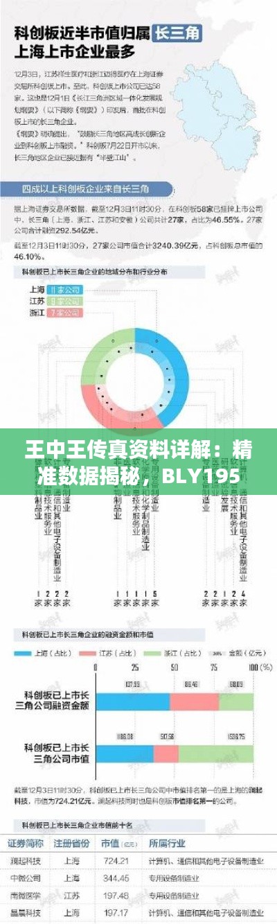 王中王傳真資料詳解：精準(zhǔn)數(shù)據(jù)揭秘，BLY195.25珍貴版