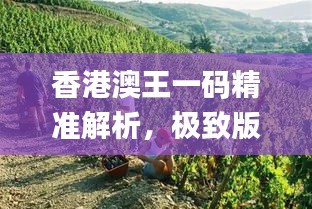 香港澳王一碼精準(zhǔn)解析，極致版圖庫動態(tài)賞析_BEG295.41