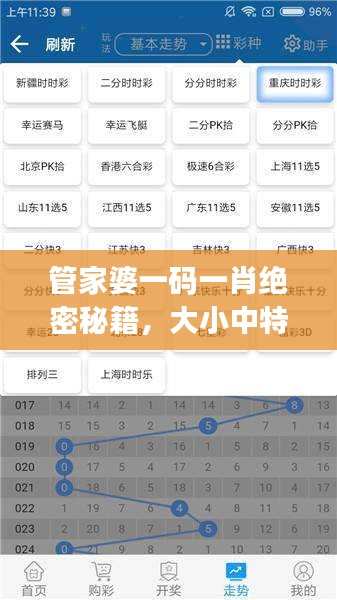 管家婆一碼一肖絕密秘籍，大小中特精準(zhǔn)解析，JRW112.88編程版最新解讀