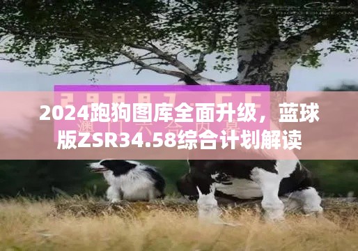 2024跑狗圖庫(kù)全面升級(jí)，藍(lán)球版ZSR34.58綜合計(jì)劃解讀