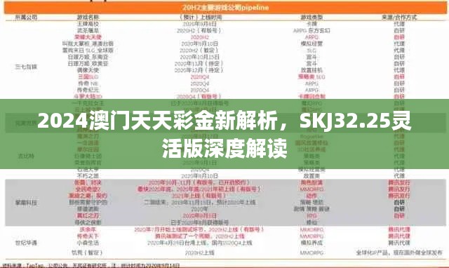 2024澳門天天彩金新解析，SKJ32.25靈活版深度解讀