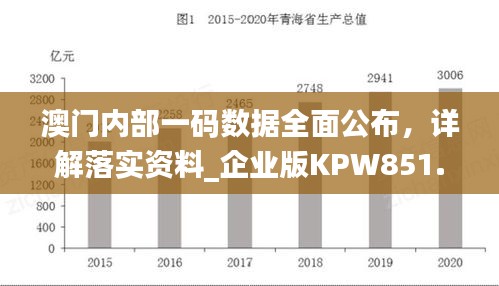 澳門內部一碼數(shù)據(jù)全面公布，詳解落實資料_企業(yè)版KPW851.07