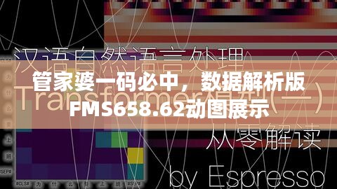 管家婆一碼必中，數(shù)據(jù)解析版FMS658.62動(dòng)圖展示