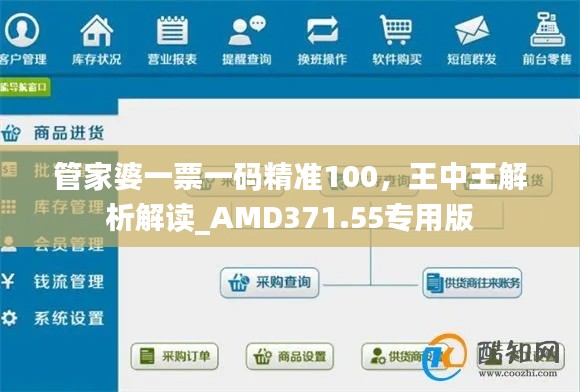 管家婆一票一碼精準(zhǔn)100，王中王解析解讀_AMD371.55專用版