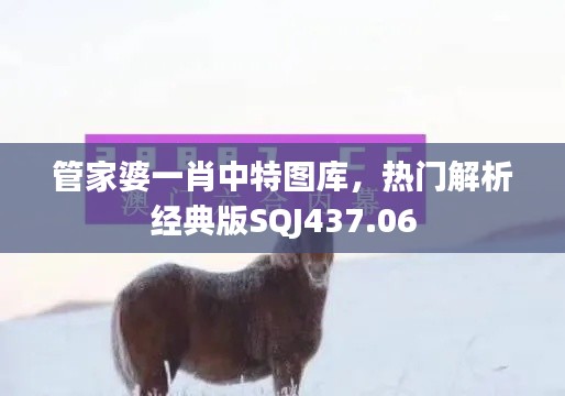 管家婆一肖中特圖庫，熱門解析經(jīng)典版SQJ437.06