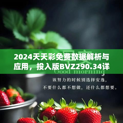 2024天天彩免費數據解析與應用，投入版BVZ290.34詳述