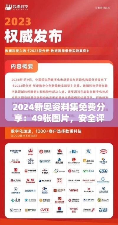 2024新奧資料集免費分享：49張圖片，安全評估策略精華版COY781.59