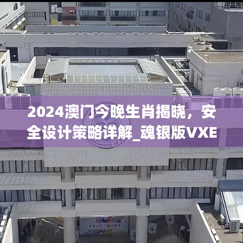 2024澳門今晚生肖揭曉，安全設(shè)計策略詳解_魂銀版VXE642.92