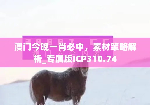 澳門今晚一肖必中，素材策略解析_專屬版ICP310.74