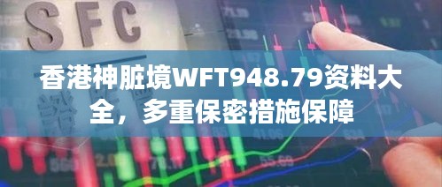 香港神臟境WFT948.79資料大全，多重保密措施保障