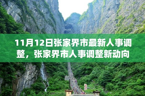 張家界市人事調(diào)整最新動(dòng)態(tài)，深度解析與觀點(diǎn)闡述