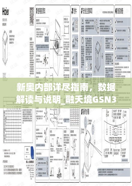 新奧內(nèi)部詳盡指南，數(shù)據(jù)解讀與說明_融天境GSN335.3