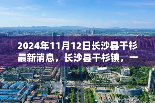 長(zhǎng)沙縣干杉鎮(zhèn)，溫馨日常的奇遇記（最新消息2024年11月12日）