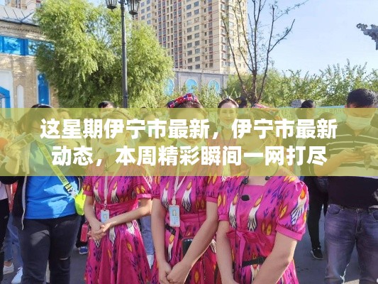 本周伊寧市最新動態(tài)全景呈現(xiàn)，精彩瞬間一網(wǎng)打盡