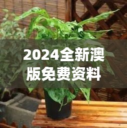 2024全新澳版免費(fèi)資料集，植物防護(hù)秘籍——九天太仙FLQ414.11
