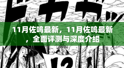 11月佐鳴最新，全面評測與深度介紹