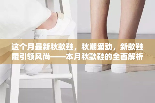 本月秋潮時尚引領(lǐng)者，新款鞋履引領(lǐng)風(fēng)尚的全面解析