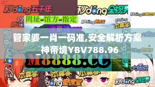 管家婆一肖一碼準,安全解析方案_神帝境YBV788.96
