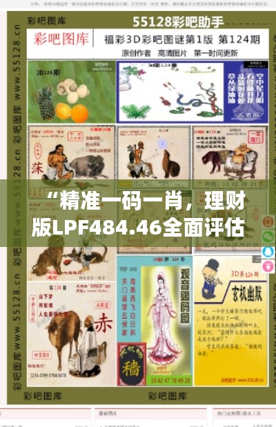 “精準一碼一肖，理財版LPF484.46全面評估”