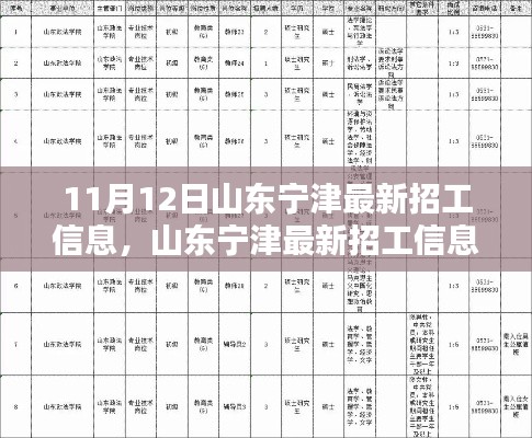 山東寧津最新招工信息，就業(yè)機(jī)遇與挑戰(zhàn)揭秘
