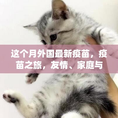 外國(guó)最新疫苗引領(lǐng)之旅，友情、家庭與新希望的啟航