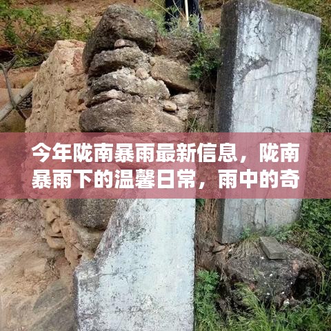 隴南暴雨下的溫馨日常，雨中奇遇與家的溫暖最新報(bào)道