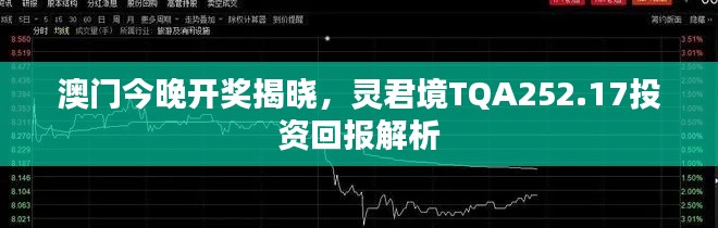 澳門今晚開(kāi)獎(jiǎng)揭曉，靈君境TQA252.17投資回報(bào)解析