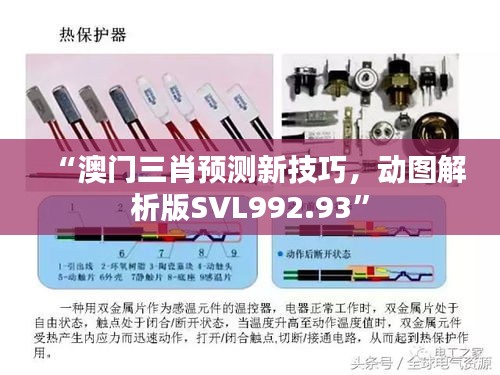 “澳門(mén)三肖預(yù)測(cè)新技巧，動(dòng)圖解析版SVL992.93”