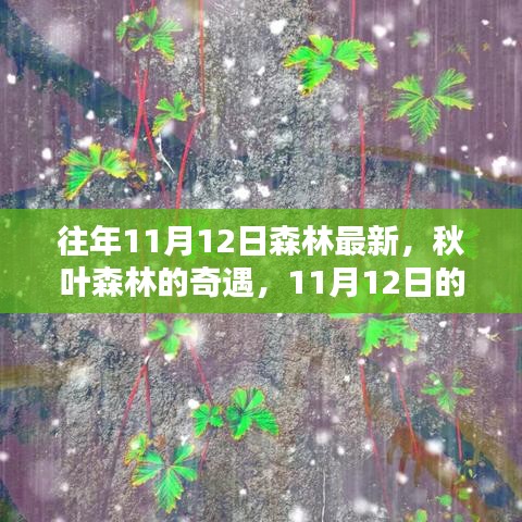 秋日森林奇遇，溫馨記憶中的最新秋葉森林