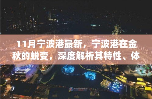 金秋蛻變，寧波港的深度解析與競爭優(yōu)勢體驗(yàn)