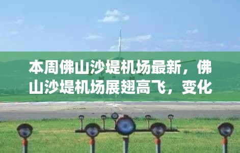佛山沙堤機場最新動態(tài)，展翅高飛，變化中的學(xué)習(xí)鑄就自信與成就展