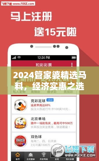 2024管家婆精選馬料，經(jīng)濟實惠之選——NBO943.87超凡推薦