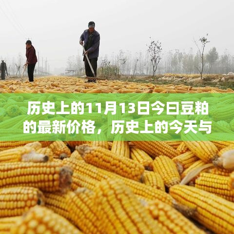 揭秘豆粕市場，今日價(jià)格走勢與歷史上的今天關(guān)聯(lián)揭秘
