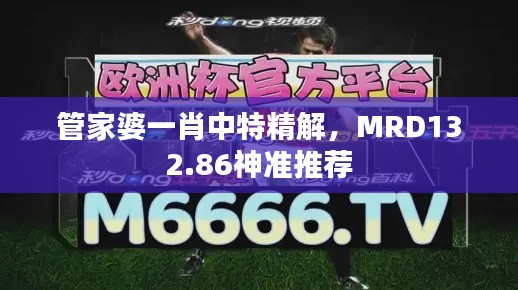 管家婆一肖中特精解，MRD132.86神準推薦