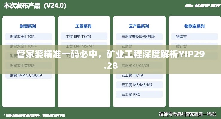 管家婆精準(zhǔn)一碼必中，礦業(yè)工程深度解析YIP29.28