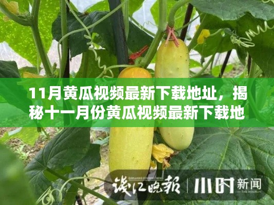 揭秘十一月份黃瓜視頻最新下載地址，背景、影響與時代地位分析