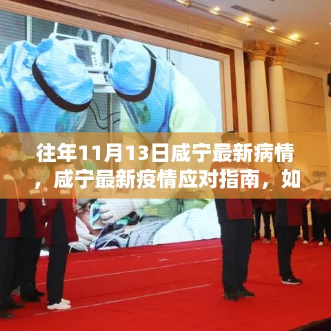 咸寧最新疫情動(dòng)態(tài)及應(yīng)對(duì)指南，安全度過(guò)特殊時(shí)期的初學(xué)者與進(jìn)階用戶指南（11月13日更新）