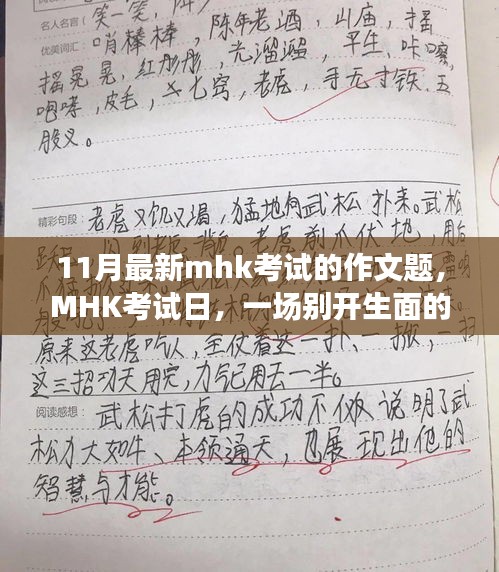 MHK考試日，作文冒險(xiǎn)之旅開啟