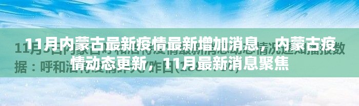 內(nèi)蒙古11月疫情最新動態(tài)，最新增加消息與聚焦