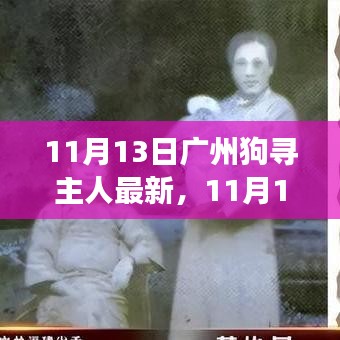 廣州狗狗尋找主人最新進展，溫暖重逢與尋寵路上的希望（11月13日更新）