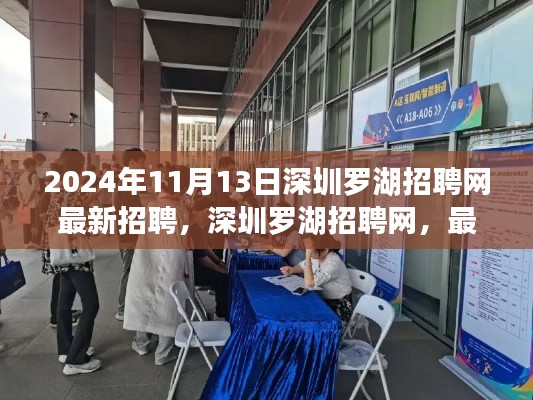 深圳羅湖招聘網(wǎng)最新動態(tài)，2024年招聘趨勢與深遠影響分析