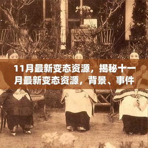 揭秘十一月最新變態(tài)資源，背景、事件、影響與時代地位全面解析