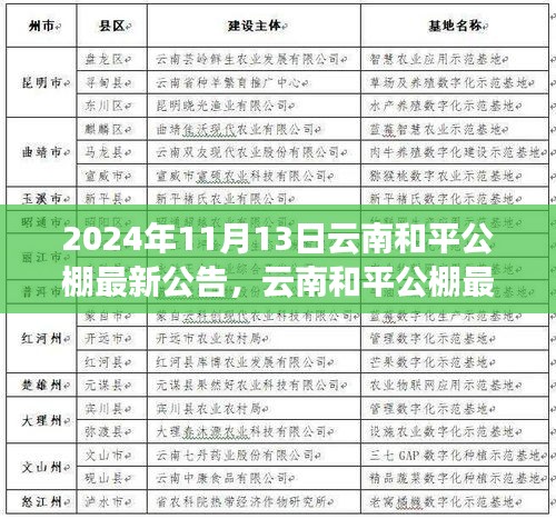 云南和平公棚最新公告發(fā)布，多元觀點(diǎn)探析與解讀