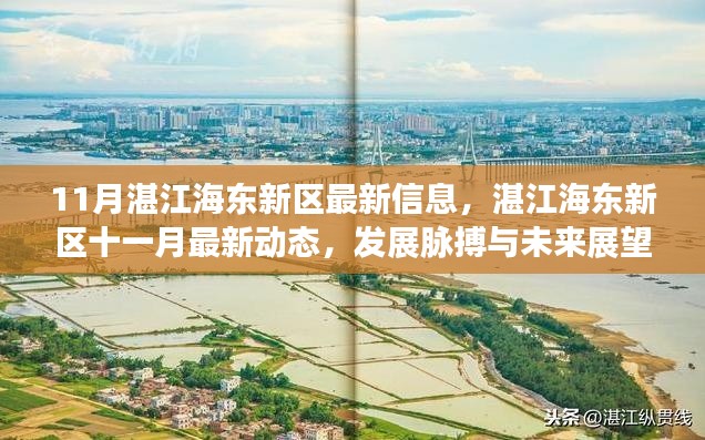 湛江海東新區(qū)十一月最新動(dòng)態(tài)，發(fā)展脈搏、未來(lái)展望與最新信息速遞
