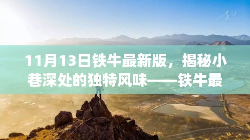 鐵牛最新版特色小店探索之旅，小巷深處的獨特風味揭秘