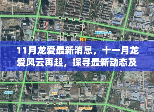 十一月龍愛風(fēng)云再起，最新動態(tài)與時代地位探尋